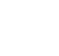 The Point